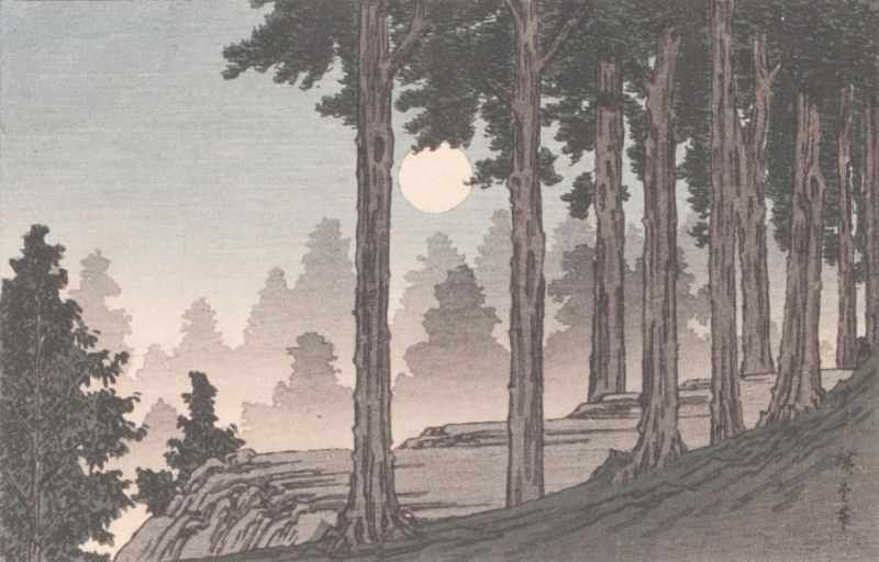 Japanischer Holzschneider tätig Mitte 20. Jh. Vollmond im Kiefernwald Farbholzschnitt, 10 x 16 cm,
