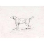 Themistokles von Eckenbrecher (Athen 1842 - Goslar 1921) Hund Bleistiftzeichnung, 9 x 13,5 cm, auf