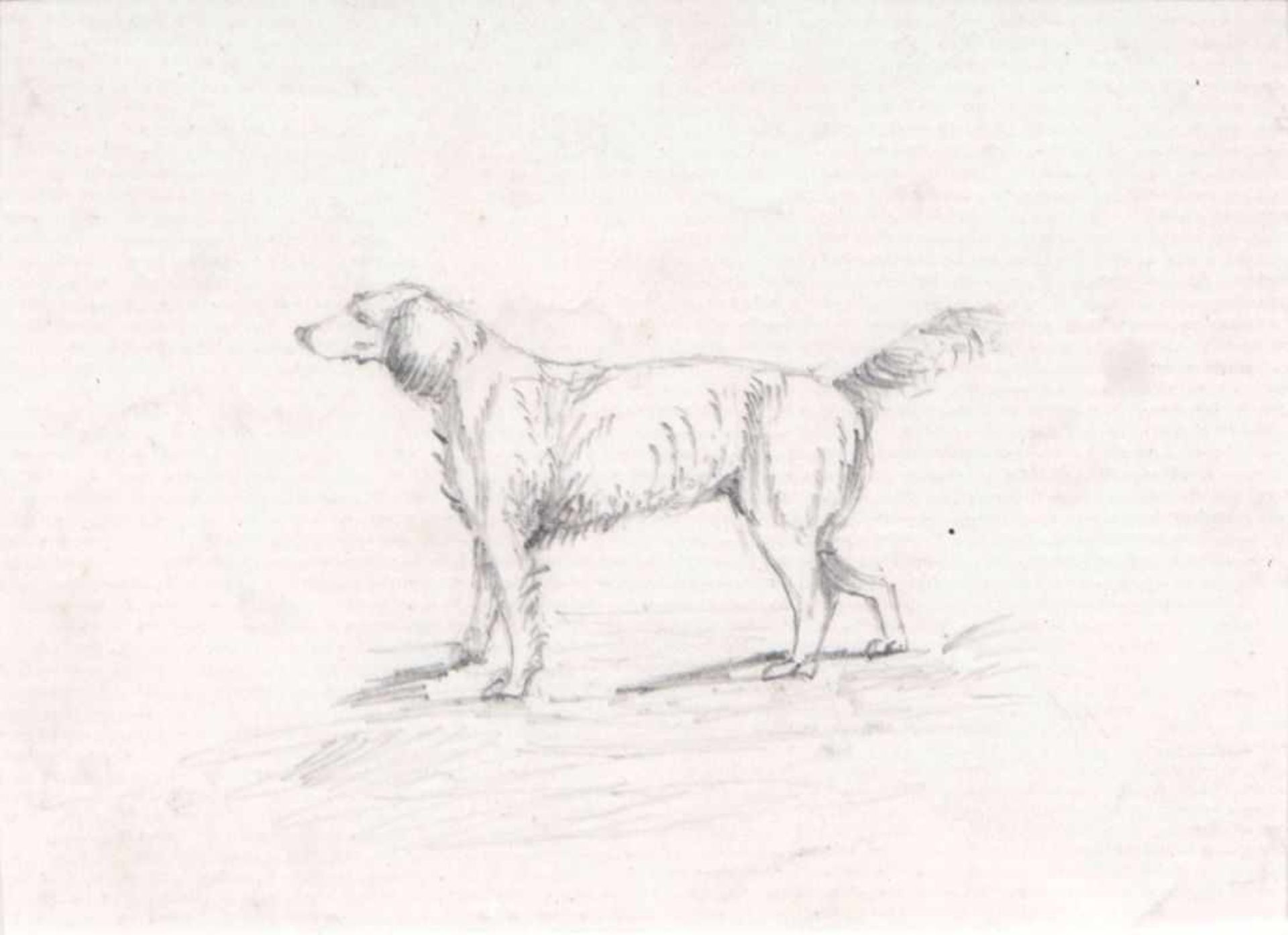 Themistokles von Eckenbrecher (Athen 1842 - Goslar 1921) Hund Bleistiftzeichnung, 9 x 13,5 cm, auf