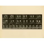 EADWEARD J. MUYBRIDGE [d'apres] - Animal Locomotion: Plate 329