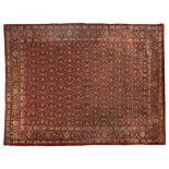 A SAROUK CARPET, PERSIA, MODERN the red field with the overall herati pattern depicted in pale-blue,