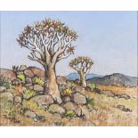 Conrad Nagel Doman Theys (South African 1940-) QUIVERTREES NEAR AGGENYS signed, dated 2016 and