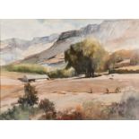 Jocelyn Boyley (South African 1932-) LANDSCAPE signed watercolour on paper 52,5 by 72cm