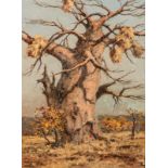 Otto Klar (South African 1908-1994) BAOBAB TREE signed oil on board 59,5 by 44cm