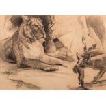 Dorothy Kay (South African 1886-1964) IT WAS HIS PEACE OFFERING - HE LONGED FOR THE GREAT BEAST'S