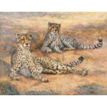 Zakkie (Zacharias) Eloff (South African 1925-2004) CHEETAHS signed oil on canvas 69,5 by 88,5cm