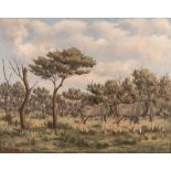 Simon Moroke Lekgetho (South African 1929-1985) BUSHBUCK signed and dated 71 oil on canvas board