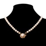 A SINGLE STRAND PEARL NECKALCE composed of seventy-four graduated pearls, approximately 5,41mm to
