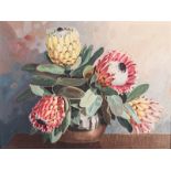 Dino Paravano (South African 1935-) PROTEAS signed oil on board 45 by 60cm