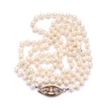 STRAND OF CULTURED PEARLS of 126 cultured pearls with a 9k yellow gold marquise-shaped clasp,