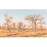 Francois Koch (South African 1944-) BUSHVELD IN THE WINTER signed and dated '69 oil on canvas laid
