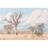 Francois Koch (South African 1944-) BUSHVELD SCENE WITH ROLLING CLOUDS signed and dated 70 oil on