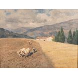 Alberto Zardo (Italian 1876-1959) PLOUGHING THE FIELDS signed oil on canvas 43,5 by 57cm