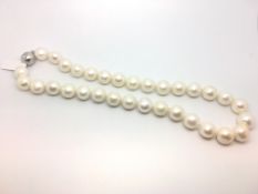 South Sea pearl necklace, thirty-two 12mm cultured South Sea pearls, on a magnetic white metal