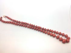 Coral bead necklace, sixty-one graduated coral beads measuring between 13.5mm and 6mm, strung