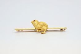 Early 20th Century chick bar brooch, ruby set eye, textured finish, measures 17 x 18mm on a 55mm