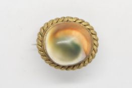 Antique Victorian operculum brooch, in yellow metal