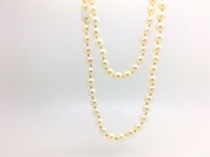 A single row of good Akoya quality pearls, strung knotted, with vintage Mikimoto silk cases,