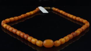 Amber bead necklace, graduated amber beads measuring between 13.8-6.7mm on a brass clasp