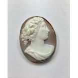 Antique Gold Mounted Cameo Brooch measure approx 41mm by 33mm