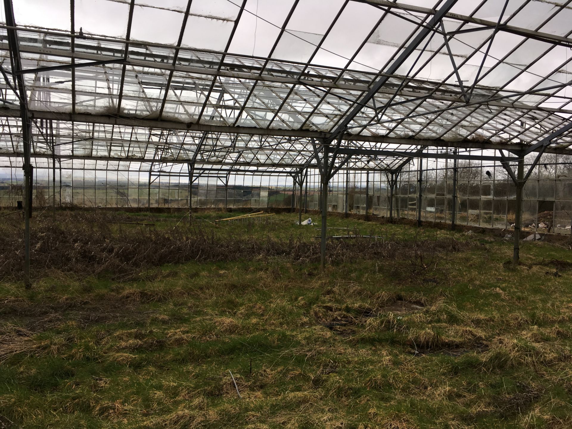 LARGE GREENHOUSES  HEIGHT 5.5 M LENGHT 85 M WIDTH 46.8M MUST BE DISMANTLED BY THE BUYER WITHIN ONE - Image 10 of 19