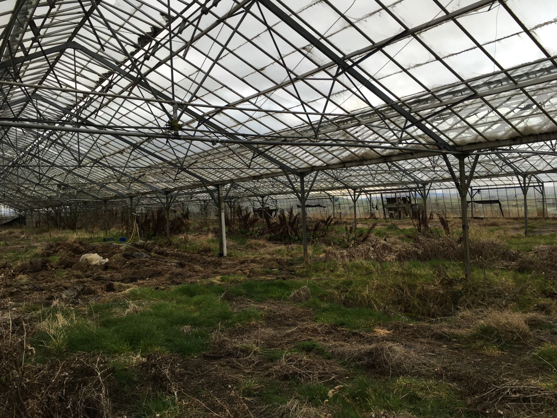 LARGE GREENHOUSES  HEIGHT 5.5 M LENGHT 85 M WIDTH 46.8M MUST BE DISMANTLED BY THE BUYER WITHIN ONE - Image 8 of 19