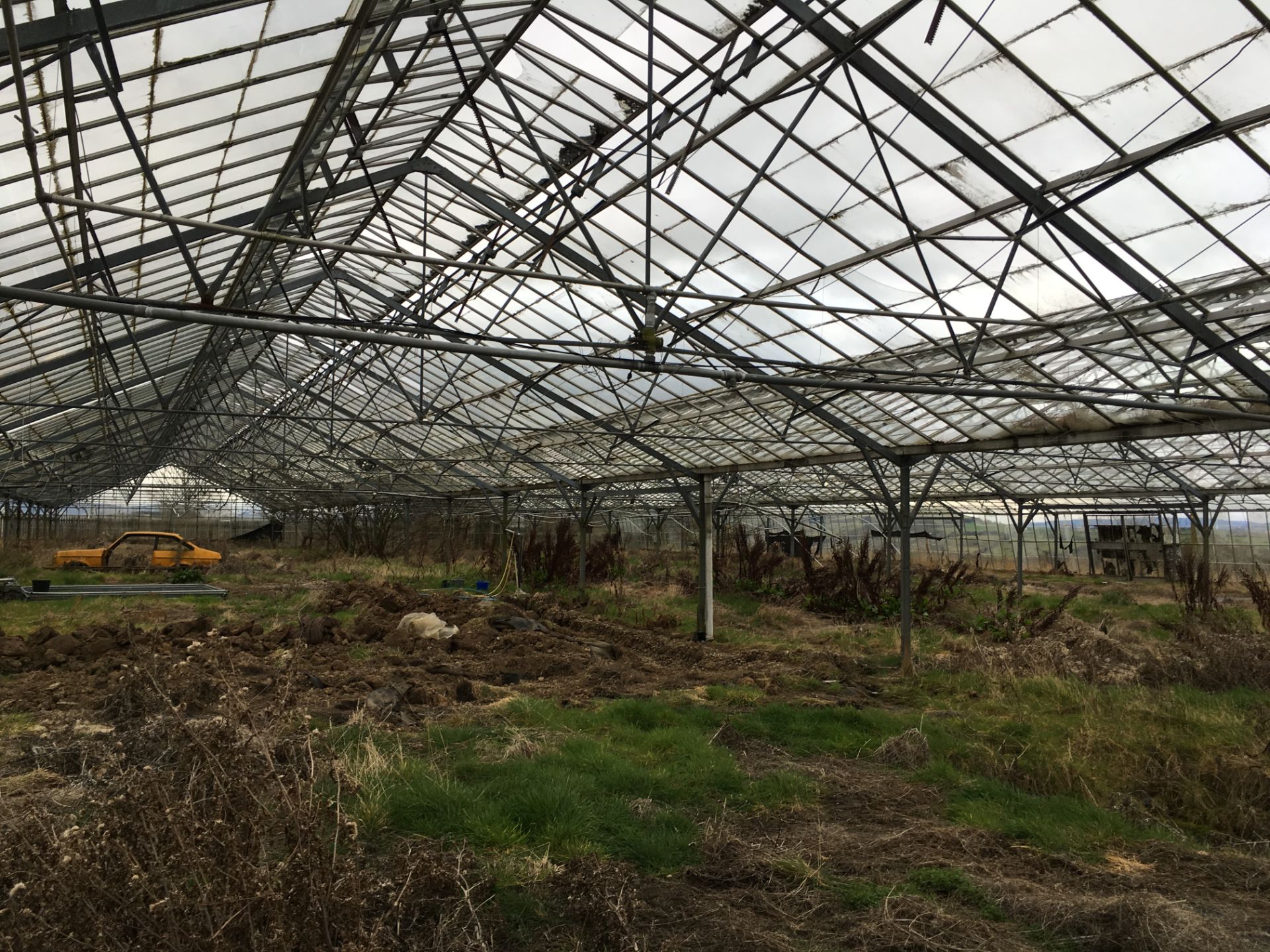 LARGE GREENHOUSES  HEIGHT 5.5 M LENGHT 85 M WIDTH 46.8M MUST BE DISMANTLED BY THE BUYER WITHIN ONE - Image 13 of 19