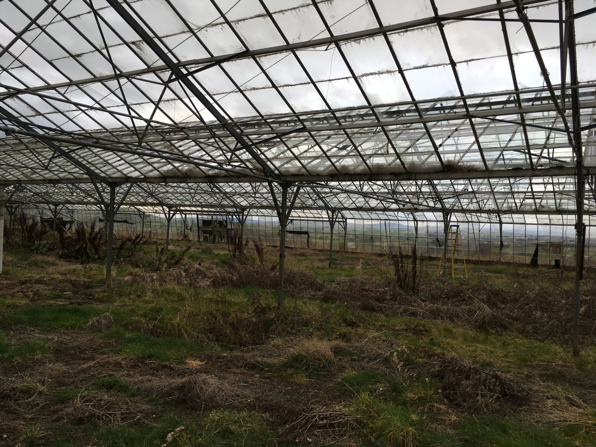 LARGE GREENHOUSES  HEIGHT 5.5 M LENGHT 85 M WIDTH 46.8M MUST BE DISMANTLED BY THE BUYER WITHIN ONE - Image 11 of 19
