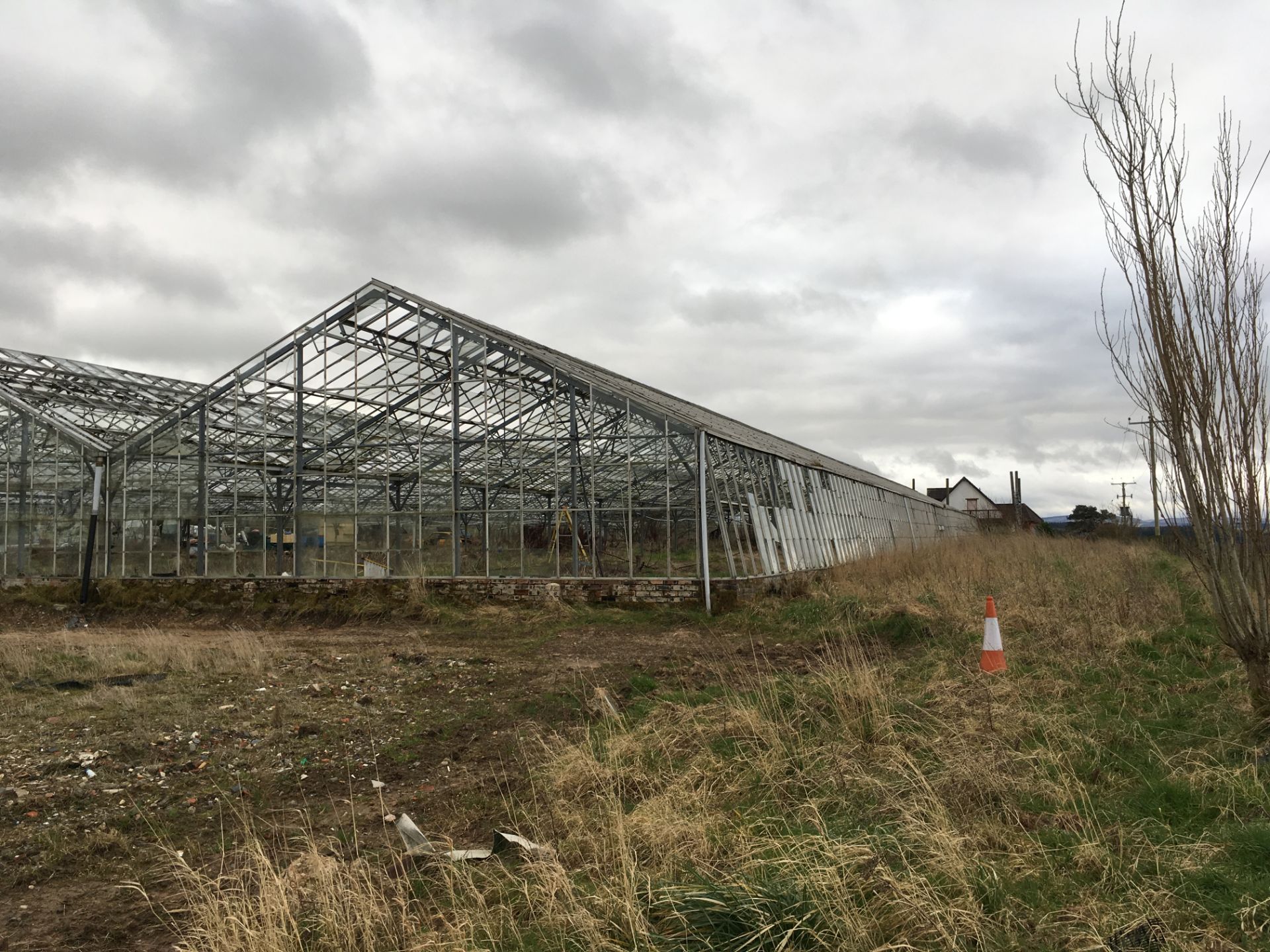 LARGE GREENHOUSES  HEIGHT 5.5 M LENGHT 85 M WIDTH 46.8M MUST BE DISMANTLED BY THE BUYER WITHIN ONE - Image 4 of 19