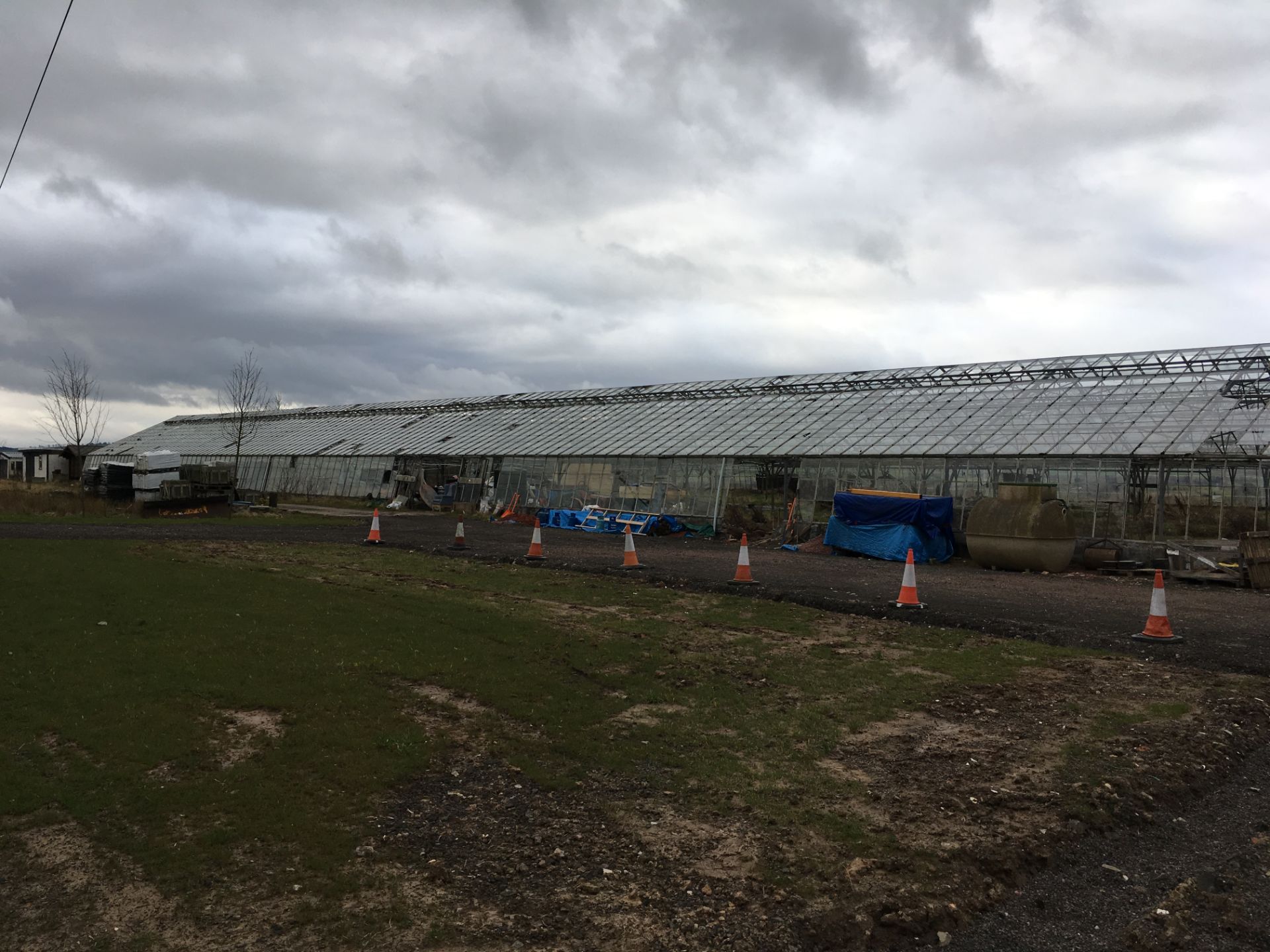 LARGE GREENHOUSES  HEIGHT 5.5 M LENGHT 85 M WIDTH 46.8M MUST BE DISMANTLED BY THE BUYER WITHIN ONE - Image 16 of 19