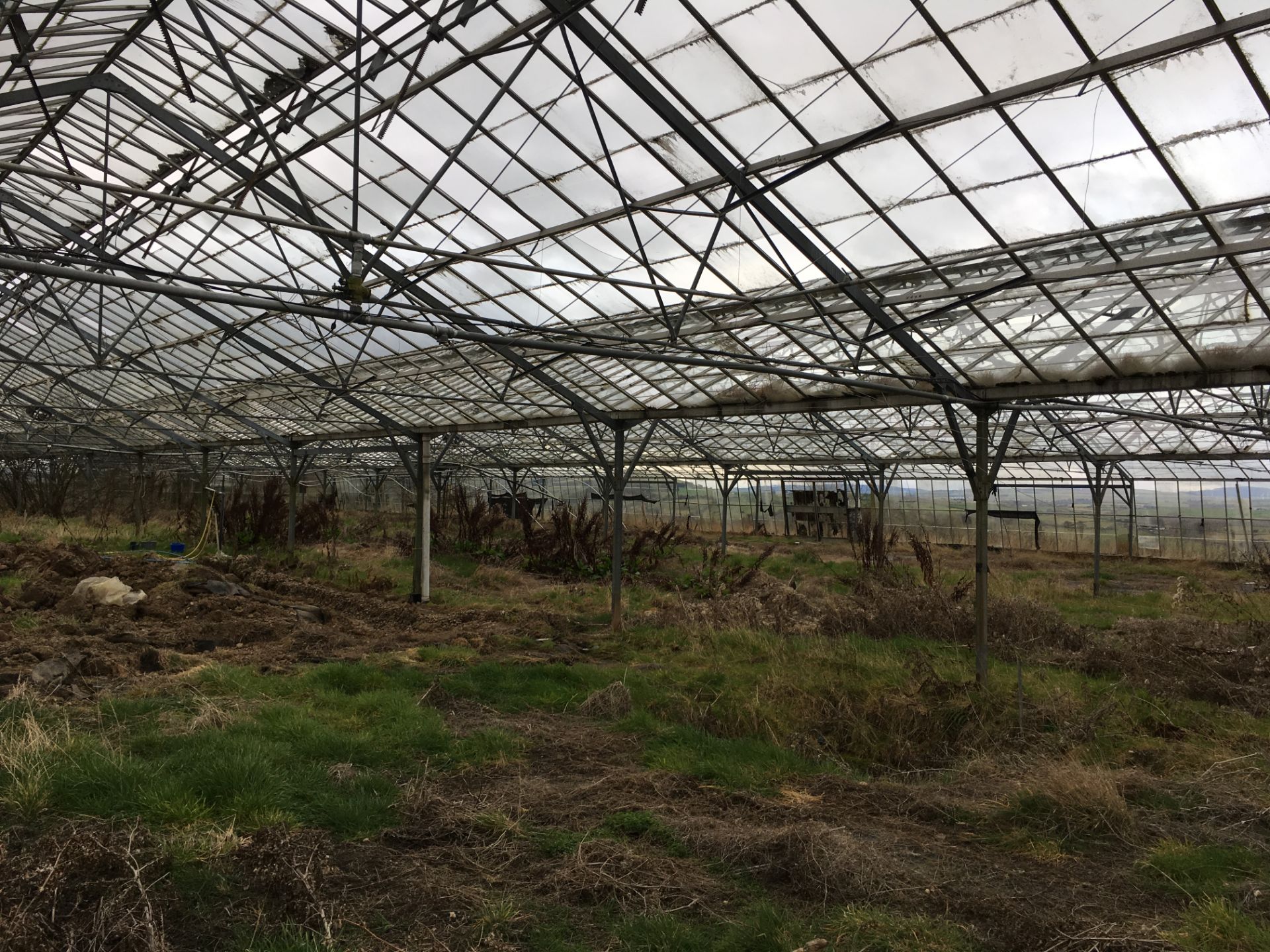 LARGE GREENHOUSES  HEIGHT 5.5 M LENGHT 85 M WIDTH 46.8M MUST BE DISMANTLED BY THE BUYER WITHIN ONE - Image 12 of 19