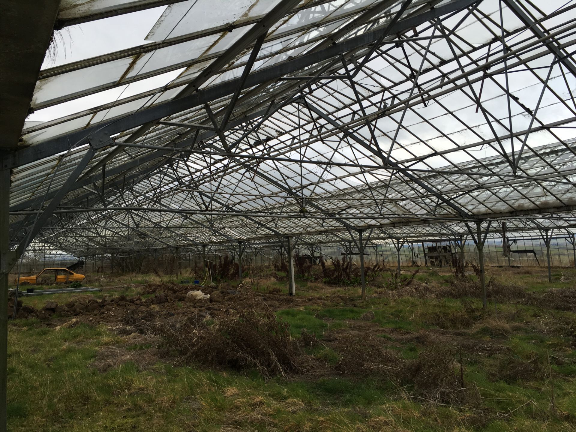 LARGE GREENHOUSES  HEIGHT 5.5 M LENGHT 85 M WIDTH 46.8M MUST BE DISMANTLED BY THE BUYER WITHIN ONE - Image 6 of 19