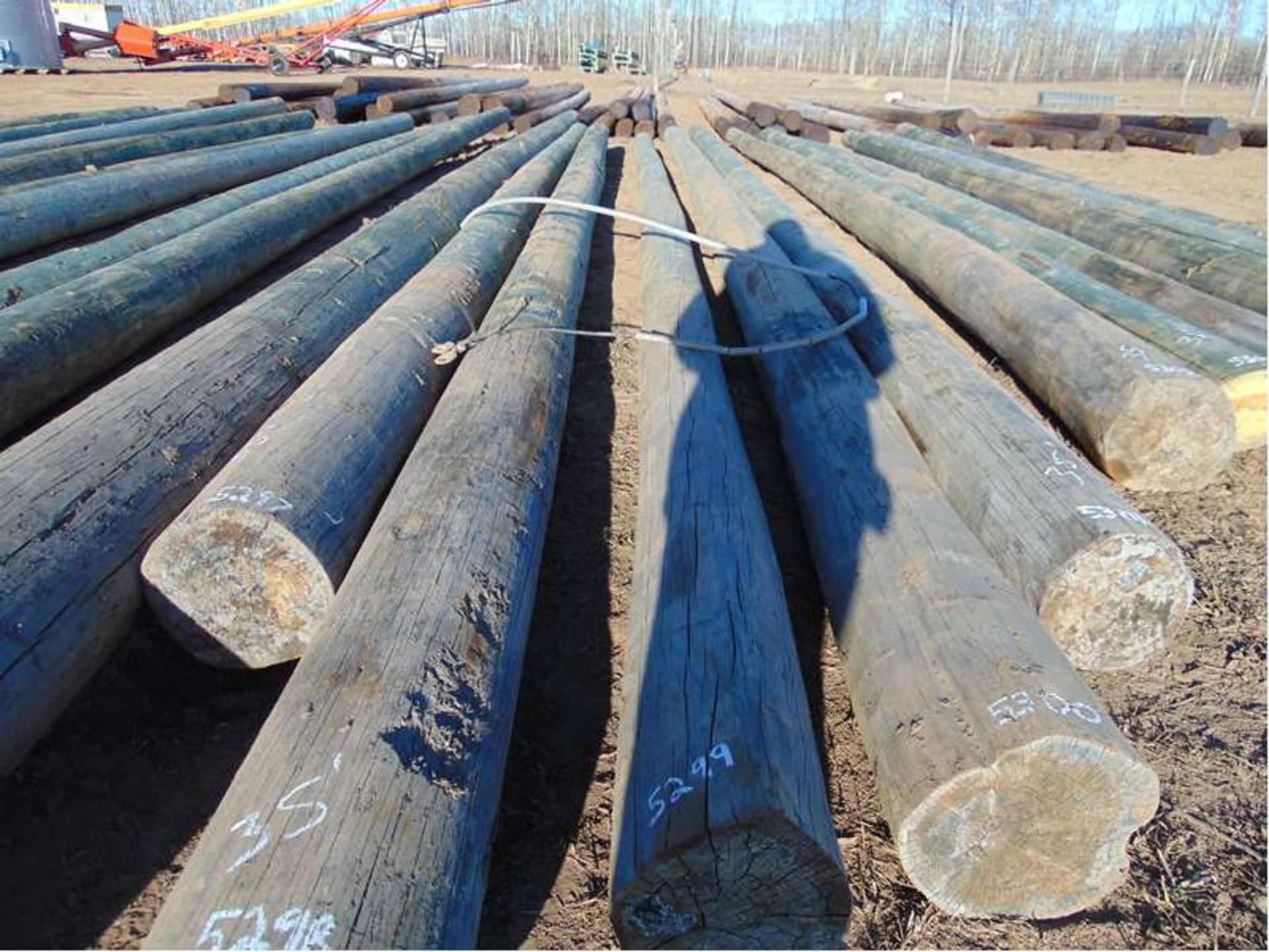 35 ft Pressure Treated Power Pole