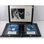 Framed Ltd Edition Freddy Mercury photograph 377 / 2500 with certificate together with 2 photographs