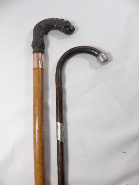 Silver banded walking cane and a carved horn handled walking cane with a 9ct gold band