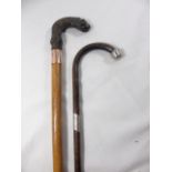 Silver banded walking cane and a carved horn handled walking cane with a 9ct gold band