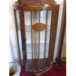 Single door walnut display cabinet