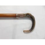 Antique horn handled walking stick with gold plated mounts approx. 36"