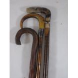 3 Walking sticks 2 with horn handles 1 with a silver collar