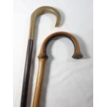 Bamboo cane and a walking stick with a horn handle