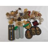Collection of Naval & military ribbons, badges, epilets etc