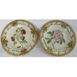 A pair of hand painted plates depicting flowers, 26cm diameter.