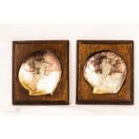 A pair of 19th century cared clam shells depicting fisherman and fisherwoman, mounted in wooden