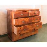 A pine chest of drawers, two short over three long drawers.