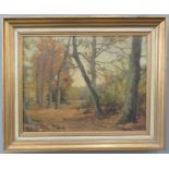 SAW Doutseus: woodland landscape, oil on canvas, s