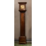 An early oak cased grandmother clock with brass di