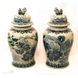 A pair of 20th century large blue and white Chines