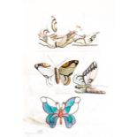 A collection of Portuguese porcelain painted butterflies.