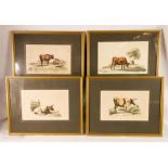 A set of four prints, depicting cattle scenes.