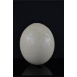 An ostrich egg.